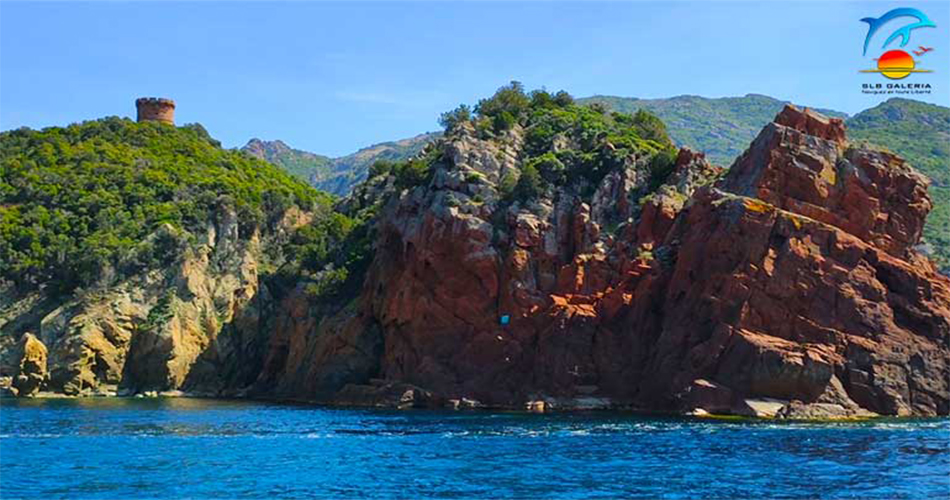 ELBO reserve de scandola
