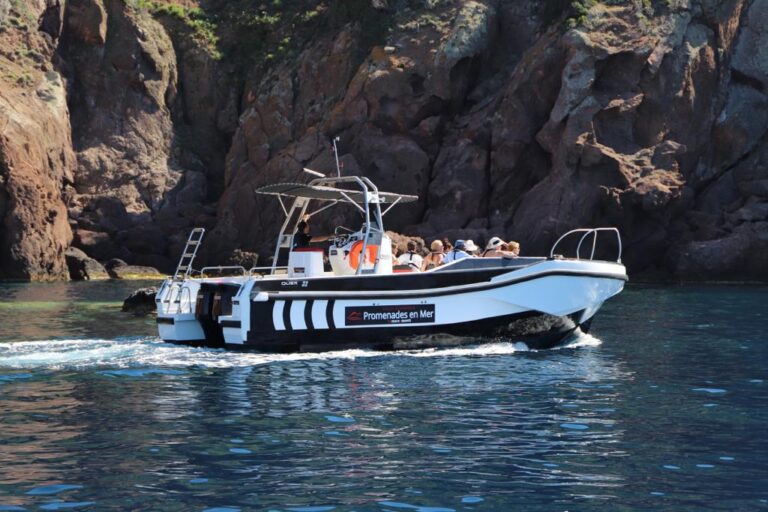 Excursion en bateau vers la Réserve de Scandola depuis Galéria